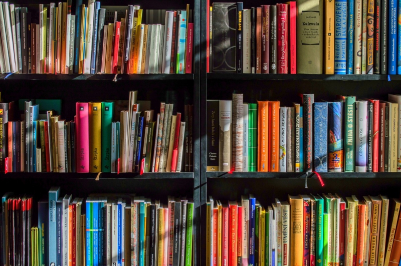 magasin-CAP D AIL-min_books_bookstore_book_reading_shop_writer_sale_books_read-822866